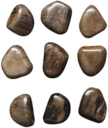 Uttermost Pebbles Set of Nine Walnut Wd Wall Decor