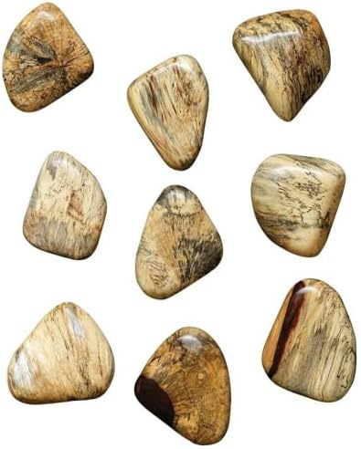 Uttermost Pebbles Set of Nine Blonde Wd Wall Decor