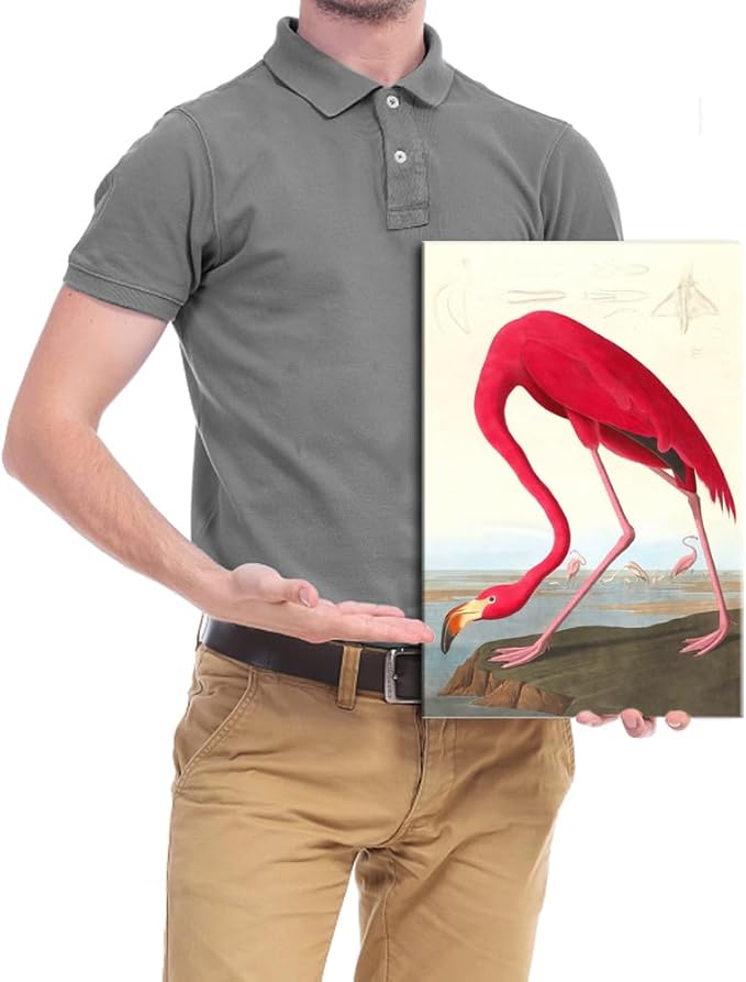 Wieco Art Canvas Print Wall Art American flamingo by John James Audubon The Birds of America Reproductions Art Print Picture Artwork for Living Room Bedroom Home Kitchen Decorations
