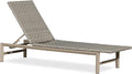 PURPLE LEAF Patio Chaise Lounge Rattan Chair Outdoor Pool Adjustable Recliner Wicker Lounger for Outside Woven Furniture Tanning Poolside Lounger Granite Gray