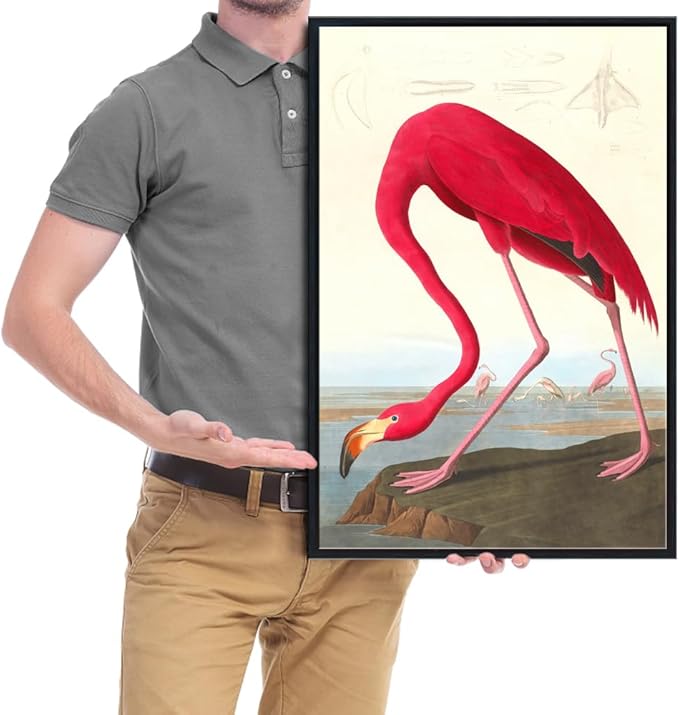 Wieco Art Framed Canvas Print Wall Art American flamingo by John James Audubon The Birds of America Reproductions Art Print for Living Room Bedroom Home Kitchen Decorations