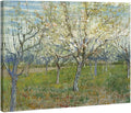 Wieco Art Orchard with Blossoming Apricot Trees Giclee Canvas Prints Wall Art of Van Gogh Famous Oil Paintings Reproduction Modern Classic Flowers Landscape Pictures Artwork for Home Decoration