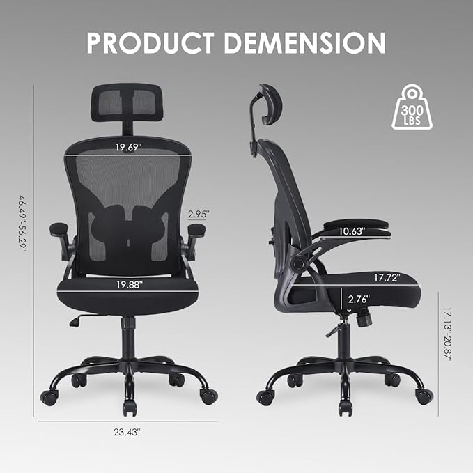 Farini Ergonomic Office Chair, Home Office Desk Chair with Headrest, High Back Computer Chair with Armrests and Adjustable Lumbar Support for Home Office Study Room, Black & Dark Black