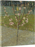 Wieco Art Almond Tree in Blossom by Van Gogh Famous Oil Paintings Reproduction Classic Canvas Prints Wall Art Abstract Flowers Pictures for Home Decor Modern Stretched and Framed Landscape Artwork