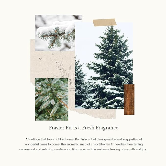 Thymes Frasier Fir Gilded Gold 3-Wick Candle - Scented Candle with a Crisp Just-Cut Forest Fragrance - Luxury Home Fragrance - Elegant Holiday Candle - Gold Jar Candle (17 oz)