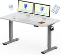 FLEXISPOT EN1 One-Piece Standing Desk, 55 x 28 Inches Stand Up Desk Workstation with Seamless Desktop Board (Silver Frame + 55 inches White Top, 2 Packages)