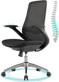 Ergonomic Office Chair, High-Back Mesh Executive Chair with Lumbar Support & 360° Adjustable Arms, Reclining Desk Chair with Tilt Lock for Home Office, Gaming, and Work, 300lb Capacity (Black)
