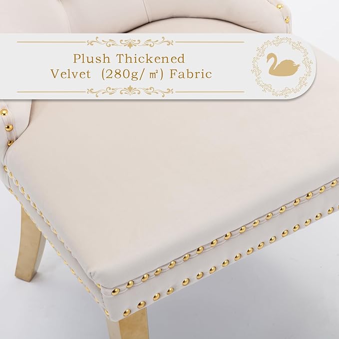 Velvet Upholstered Dining Chairs Set of 4, Modern Style Kitchen Side Chairs with Nailhead Trim and Gold Plated Leg, Metal Pulling Ring for Dining Room Living Room(Beige-Gold Plated Leg)