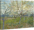 Wieco Art Large Canvas Prints Wall Art Orchard with Blossoming Apricot Trees Artwork of Van Gogh Famous Oil Paintings Reproduction Modern Classic Giclee Flowers Landscape Pictures for Home Decor