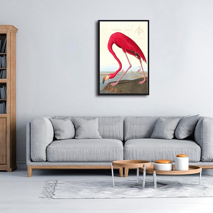 Wieco Art Framed Canvas Print Wall Art American flamingo by John James Audubon The Birds of America Reproductions Art Print for Living Room Bedroom Home Kitchen Decorations