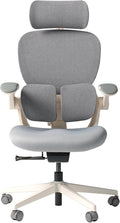 HINOMI Q2 Ergonomic Office Chair with Lumbar Support & Adjustable Headrest, Cushion Seat with Flip-Up Arms, Reclining Computer Seating with Footrest, Stylish Desk Model for Home (Gray)