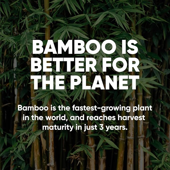 Save Trees Bamboo Facial Tissues - 4 Boxes of Eco-Friendly, 3-Ply Hypoallergenic Tissues, 90 Sheets per Box, FSC Certified, Plastic-Free Packaging, Soft & Gentle for Home Use