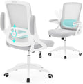 Ergonomic Office Chair, Desk Chair with Adjustable Lumbar Support, Breathable Mesh Comfy Computer Chairs with Flip-up Armrests Executive Task Chair for Adults Home Office(Gray)