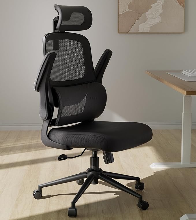 Hbada P1 Ergonomic Office Chair, Desk Chair with Adjustable Lumbar Support, Home Office Desk Chair with 2D Headrest, Flip-up Armrest, Swivel Computer Chair, Black