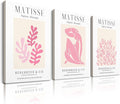HesenDot Framed Matisse Pink Wall Art Set of 3,Minimalist Wall Decor,12x16IN Canvas Prints,Boho Cute Art Poster Home Decoration for Bathroom Bedroom