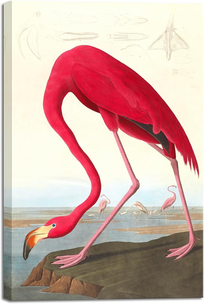 Wieco Art Canvas Print Wall Art American flamingo by John James Audubon The Birds of America Reproductions Art Print Picture Artwork for Living Room Bedroom Home Kitchen Decorations