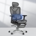 FLEXISPOT ErgoX Premium Ergonomic Office Chair with Footrest- Adjustable 3D Armrests, Dynamic Lumbar Support, Recline & Tilt Function, Mesh Seat, for Home & Office Use,Dark Grey