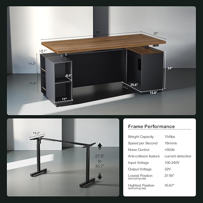 71" Standing Executive Desk with Privacy Panel, Large One-Piece Electric Height Adjustable Stand Up Desk with Charging Station, File Cabinet Storage, Home and Office, Black Walnut
