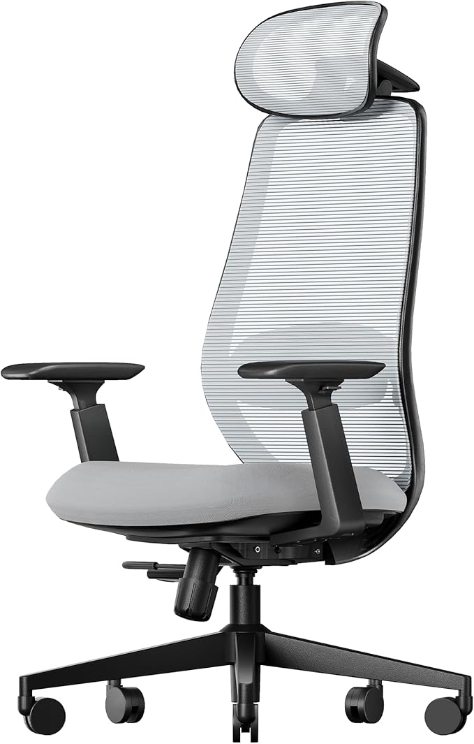 ProtoArc Ergonomic Office Chair – EC200 High-Back Mesh Computer Chair with Lumbar Support, 3D Adjustable Headrest & Sliding Seat for 8+ Hour Comfort, Big & Tall Home Office Desk Chairs - Gray