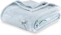 Berkshire Blanket Peanuts® VelvetLoft® Cute Character Snoopy Plush Blanket,Peanuts Snoopy Make A Wish Spring Blue,Full/Queen 90 in x 90 in (Official Peanuts® Product)