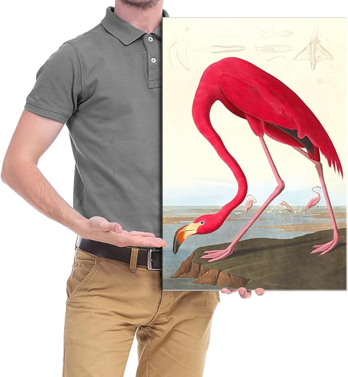 Wieco Art Canvas Print Wall Art American flamingo by John James Audubon The Birds of America Reproductions Art Print Picture Artwork for Living Room Bedroom Home Kitchen Decorations