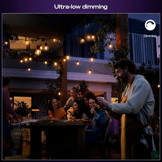 Philips Hue Festavia Globe Outdoor String Lights, White and Color Ambiance, 91ft, 32 Bulbs, Dimmable, Control with Hue App, Works with Alexa, Google Assistant, Apple Home