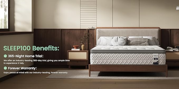 Queen Mattress 14 Inch – Hybrid Mattresses for Back Pain, Extra Lumbar & Shoulder Support, Fiberglass-Free & No Odor, 365-Night Trial