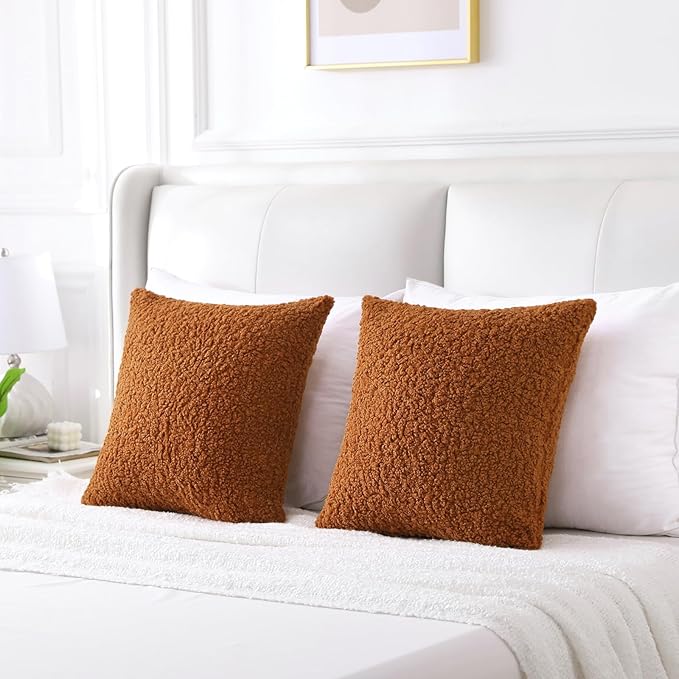 FUTEI Rust Throw Pillow Covers 20x20 Inch Set of 2,Furry Faux Fur Teddy Boucle Textured Cushion Covers,Soft Fluffy Decorative Pillow Case,Home Decor for Couch Bed Living Room Office Car