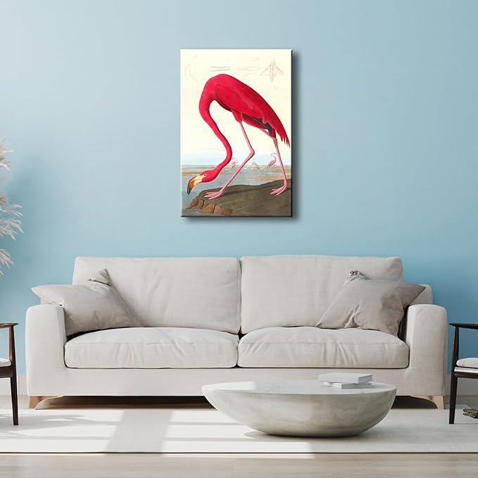 Wieco Art Canvas Print Wall Art American flamingo by John James Audubon The Birds of America Reproductions Art Print Picture Artwork for Living Room Bedroom Home Kitchen Decorations