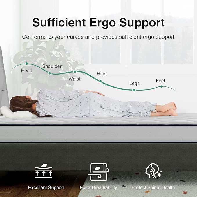 Novill 6/8 Inch Foam and Spring Hybrid Mattress, Queen Mattress in a Box, Medium Support, CertiPUR-US Certified Foam & Steel Coils, Durable Design, Guest and Youth Bedroom, Eco-Friendly Packaging