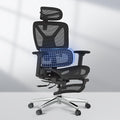 FLEXISPOT ErgoX Premium Ergonomic Office Chair with Footrest- Adjustable 3D Armrests, Dynamic Lumbar Support, Recline & Tilt Function, Mesh Seat, for Home & Office Use,Black