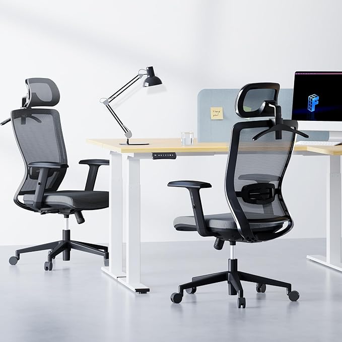 FLEXISPOT Classic Ergonomic Office Chair with High Back Swivel Computer Chair Executive Office Desk Chairs, with Lumbar Support/2D Headrest/Lockable Tilt Function, Foam Seat Cushion, Gray