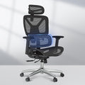 FLEXISPOT ErgoX Premium Ergonomic Office Chair Black - Adjustable 3D Armrests, Dynamic Lumbar Support, Recline & Tilt Function, Mesh Seat, for Home & Office Use
