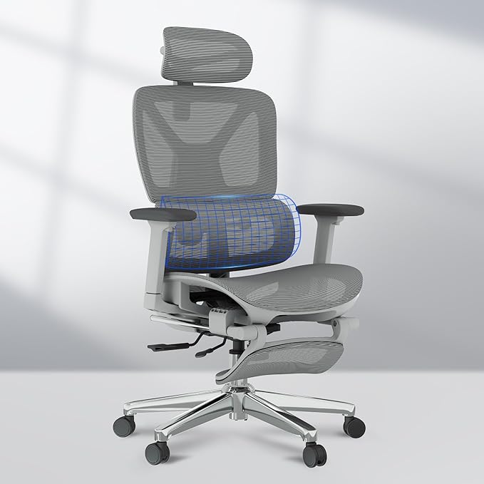 FLEXISPOT ErgoX Premium Ergonomic Office Chair with Footrest- Adjustable 3D Armrests, Dynamic Lumbar Support, Recline & Tilt Function, Mesh Seat, for Home & Office Use,Light Grey