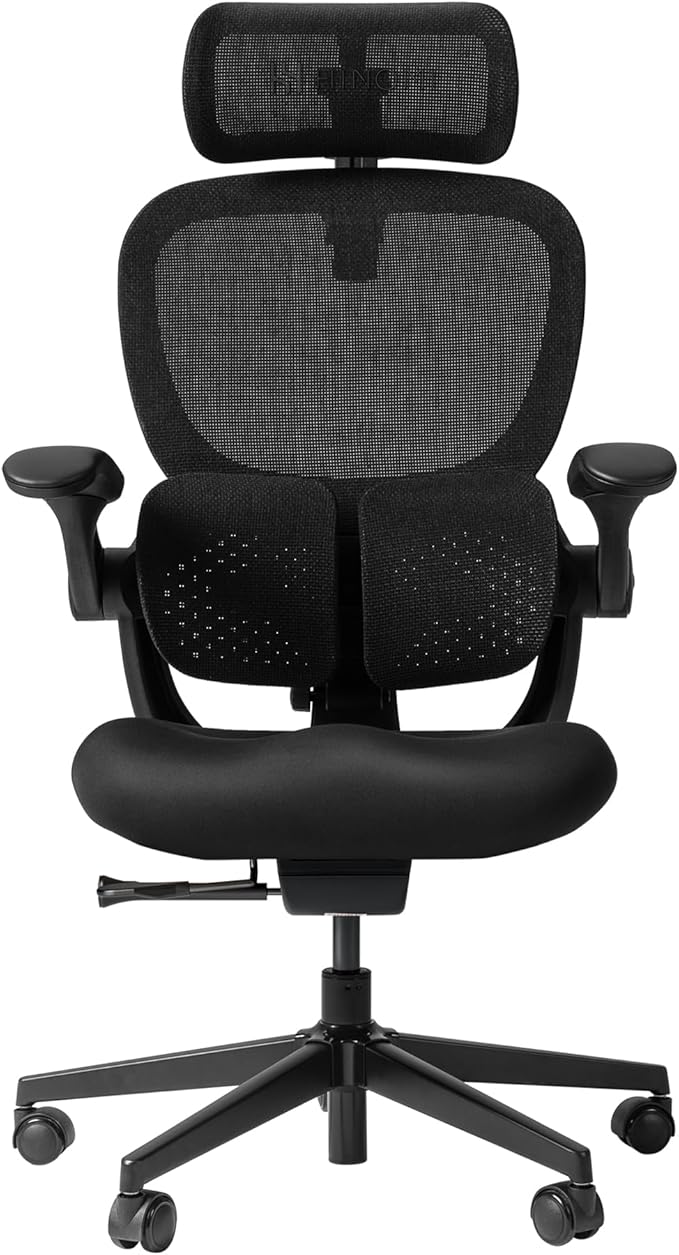 HINOMI Q2 Ergonomic Office Chair with Lumbar Support & Adjustable Headrest, Cushion Seat with Flip-Up Arms, Reclining Computer Seating with Footrest, Stylish Desk Model for Home (Black)