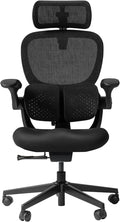 HINOMI Q2 Ergonomic Office Chair with Lumbar Support & Adjustable Headrest, Cushion Seat with Flip-Up Arms, Reclining Computer Seating with Footrest, Stylish Desk Model for Home (Black)