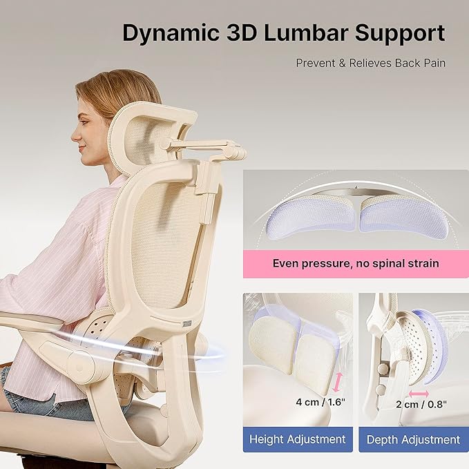 HINOMI Q2 Ergonomic Office Chair with Lumbar Support & Adjustable Headrest, Cushion Seat with Flip-Up Arms, Reclining Computer Seating with Footrest, Stylish Desk Model for Home (Gray)