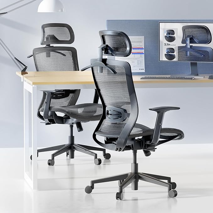 FLEXISPOT OC3 Air Ergonomic Office Chair Mesh Back Swivel Computer Chair Executive Office Desk Chairs with Adjustable Lumbar Support/2D Headrest/Lockable Backrest, Mesh Seat Cushion, Gray