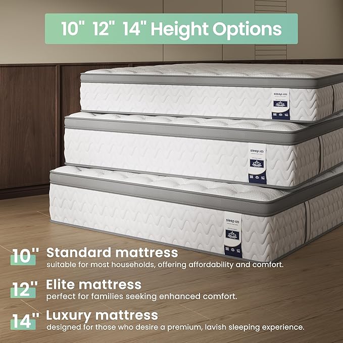 Queen Mattress 12 Inch – Hybrid Mattresses for Back Pain, Extra Lumbar & Shoulder Support, Fiberglass-Free & No Odor, 365-Night Trial