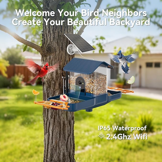 Dual-Lens Bird Feeder with Camera & Bird Bath Combo, Watch Birds Eat & Bathe with WiFi 2K HD Video, Auto Record, AI Recognition, APP Alerts, Solar Powered, for Backyard Garden Porch Fence Decor