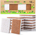 Biodegradable Natural Kitchen Sponge，Eco Friendly Sponges for Dishes,Compostable Cellulose Sponge with Natural Plant Based Coconut Walnut Sustainable Scrubber Pack of 12