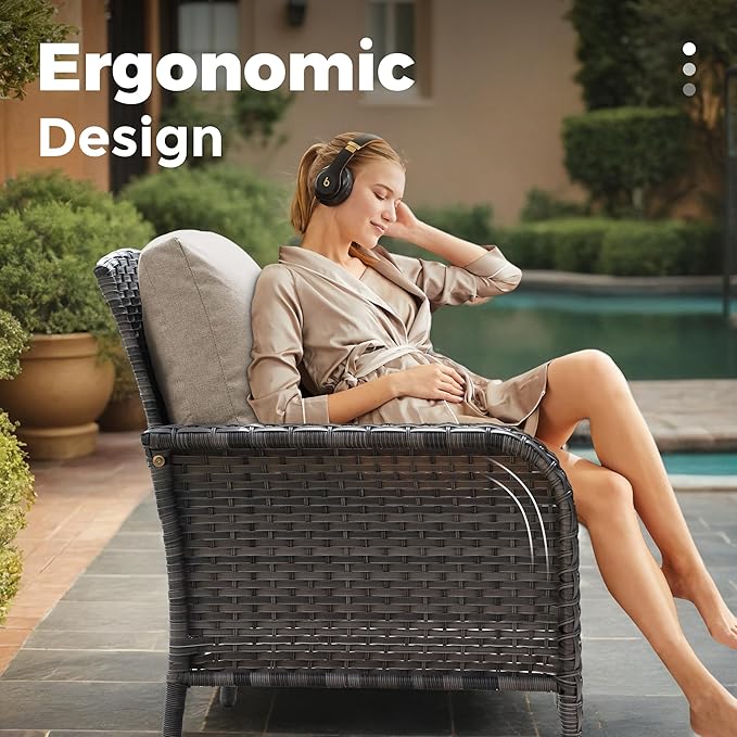 2 Pieces Wicker Patio Chairs - Outdoor Rattan Chairs Set of 2,All-Weather PE Wicker Dining Chair Set with High Back and Deep Seating for Deck Porch,Beige