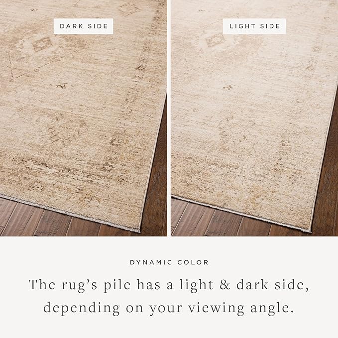 Loloi Chris Loves Julia Palma Collection PLM-06 Natural/Smoke 9'-6" x 13'-1" Fringe Area Rug Vintage Style Boho Living Room Bedroom Carpet