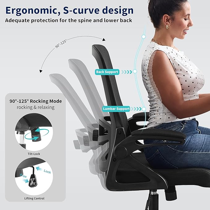 Ergonomic Office Chair, Desk Chair with Adjustable Lumbar Support, Breathable Mesh Comfy Computer Chairs with Flip-up Armrests Executive Task Chair for Adults Home Office(Black)