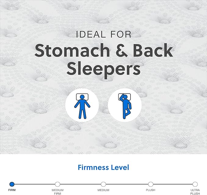 Signature Design by Ashley Queen Size Comfort Plus Hybrid Mattress with Memory and Quilt Foam, Wrapped Coils, Fiberglass Free, 10-Year Warranty, 10" Height