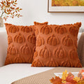 Kevin Textile Fall Pillow Covers 20x20 Inch Set of 2 Soft Pumpkins Decorative Square Pillowcases Plush Autumn Faux Fur Cushions Harvest Gift for Couch Sofa Chair Bedroom Home Decor, Brown