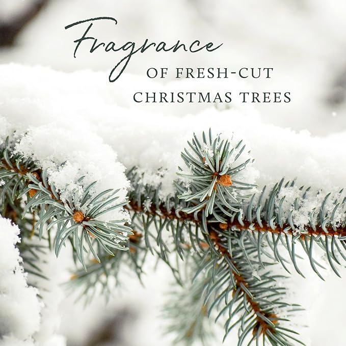 Thymes Frasier Fir Candle – Pine Needle Design – Holiday Scented Candle – Notes of Crisp Siberian Fir, Cedarwood & Sandalwood – Luxury Home Fragrance Gifts for Women & Men – Silver (Statement, 13 oz)