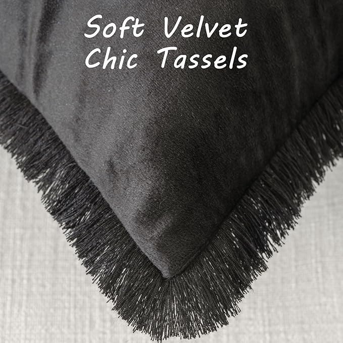 FUTEI Black Velvet Decorative Throw Pillow Covers 22x22 Set of 2,Soft Cozy Edge with Tassels Cushion Case,Boho Modern Home Decor for Couch Bed Living Room