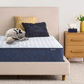 Serta Sleeptrue Firm 12" Twin Memory Foam Mattress in a Box, Cooling, Breathable, and Pressure Relieving - 100 Night Trial, CertiPUR-US Certified and 10 Year Limited Warranty