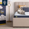 Serta Sleeptrue Firm 6" Twin Memory Foam Mattress in a Box, Cooling, Breathable, and Pressure Relieving - 100 Night Trial, CertiPUR-US Certified and 10 Year Limited Warranty